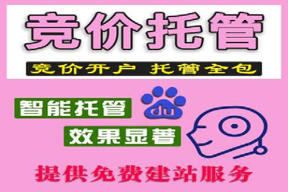 百度信息流在电商行业的营销效果案例